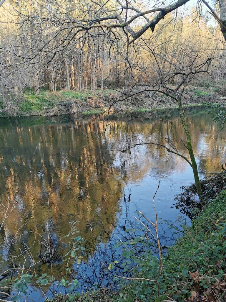 Ruta Umia - Lantaño en Portas