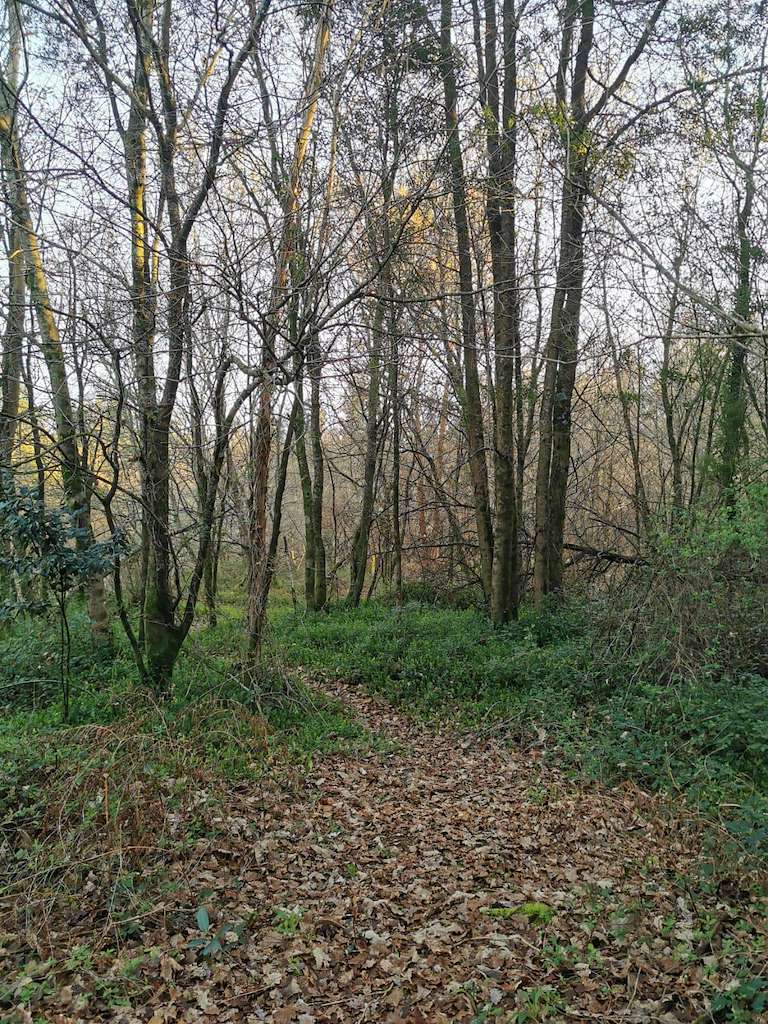 Ruta Umia - Lantaño en Portas