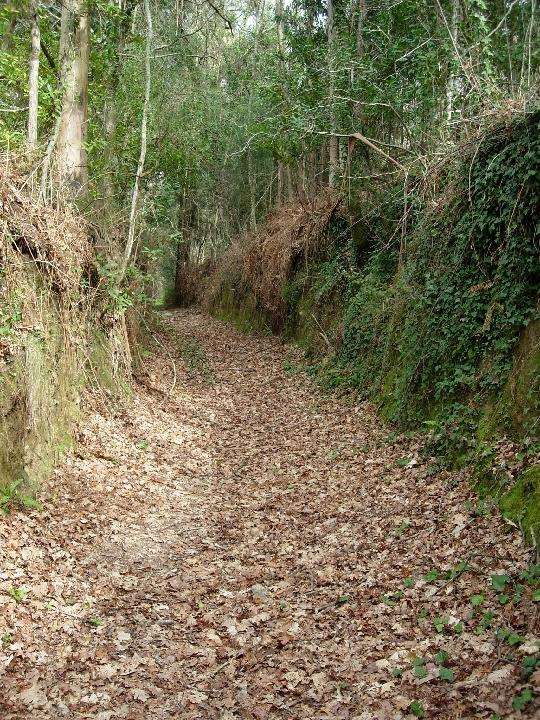 Rutas de Senderismo en Redondela