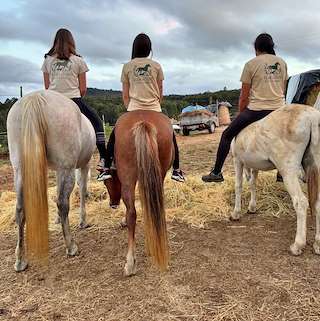 Rutas Ecuestres Flor do Toxo