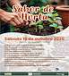 FiestasRelacionadas Sabor da Horta en Barro