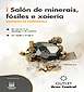 FiestasRelacionadas I Salón de Minerais, Fósiles e Xoiería  en Santiago de Compostela