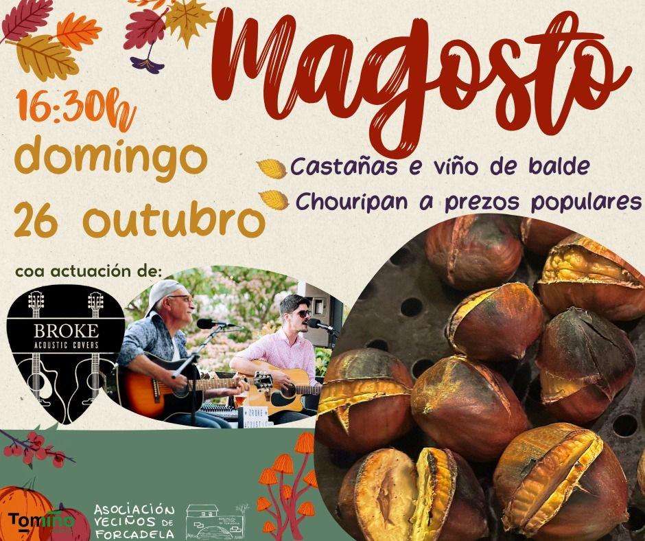 Samaín e Magosto de Forcadela (2026) en Tomiño