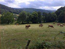 San Bartolomeu de Brántega en Agolada