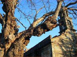 San Bieito Abad de Lores en Meaño