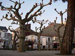 San Lourenzo de Brandeso en Arzúa