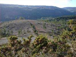 San Mamed de Loureza en Oia