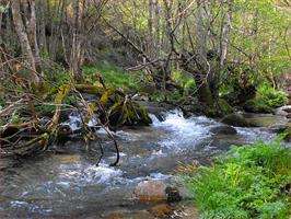 San Salvador de Guxinde en Entrimo