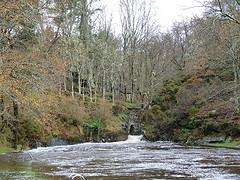 San Xiao de Roca en Guitiriz