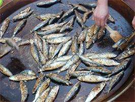 San Xoán en Agolada