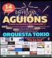 FiestasRelacionadas San Antón de Aguións en A Estrada