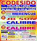 FiestasRelacionadas San Antón e San Martiño de Codesido en Vilalba