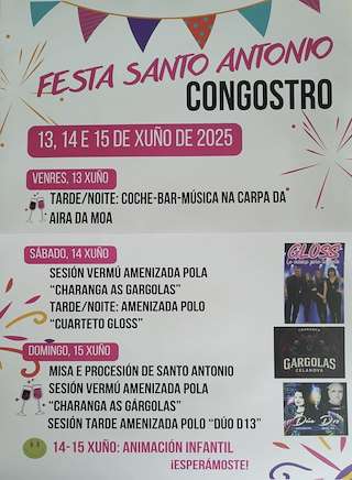 Fechas, información, programa, cartel, imágenes, mapa y ubicación de San Antonio de Congostro  en  Rairiz de Veiga