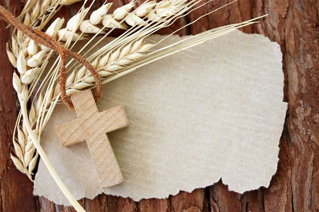 San Ero e A Divina Pastora de Armenteira (2025) en Meis