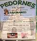 FiestasRelacionadas San Mamed de Pedornes en Oia