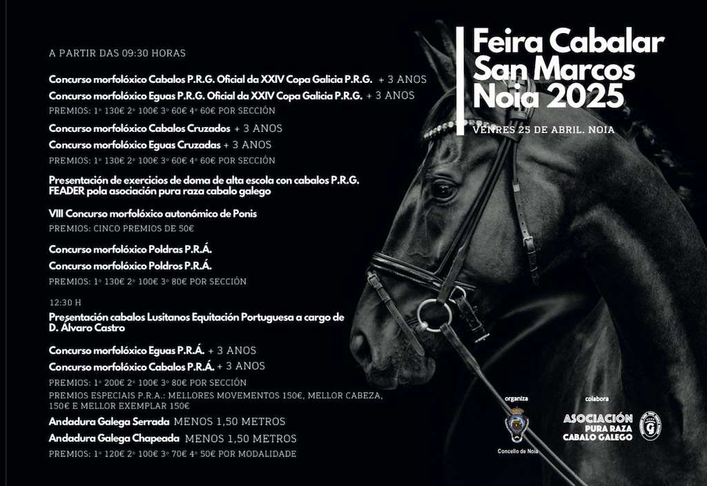 San Marcos (2025) en Noia