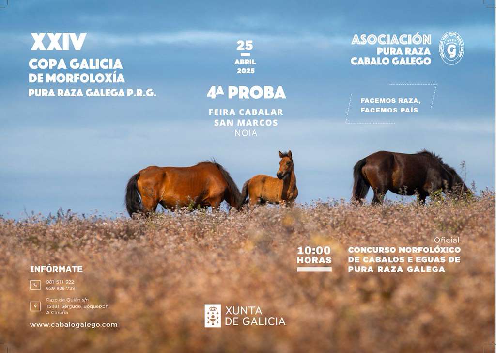 San Marcos (2025) en Noia