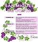 FiestasRelacionadas San Miguel de Costa en Rois