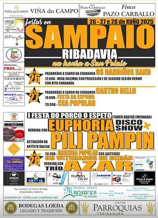 Fechas, información, programa, cartel, imágenes, mapa y ubicación de San Paio de Ventosela  en  Ribadavia