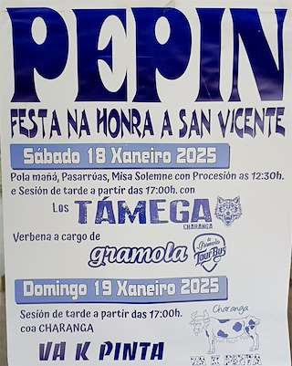 Fechas, información, programa, cartel, imágenes, mapa y ubicación de San Vicente de Pepín  en  Castrelo do Val