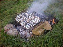 Sardiñada Popular de Caión en Laracha