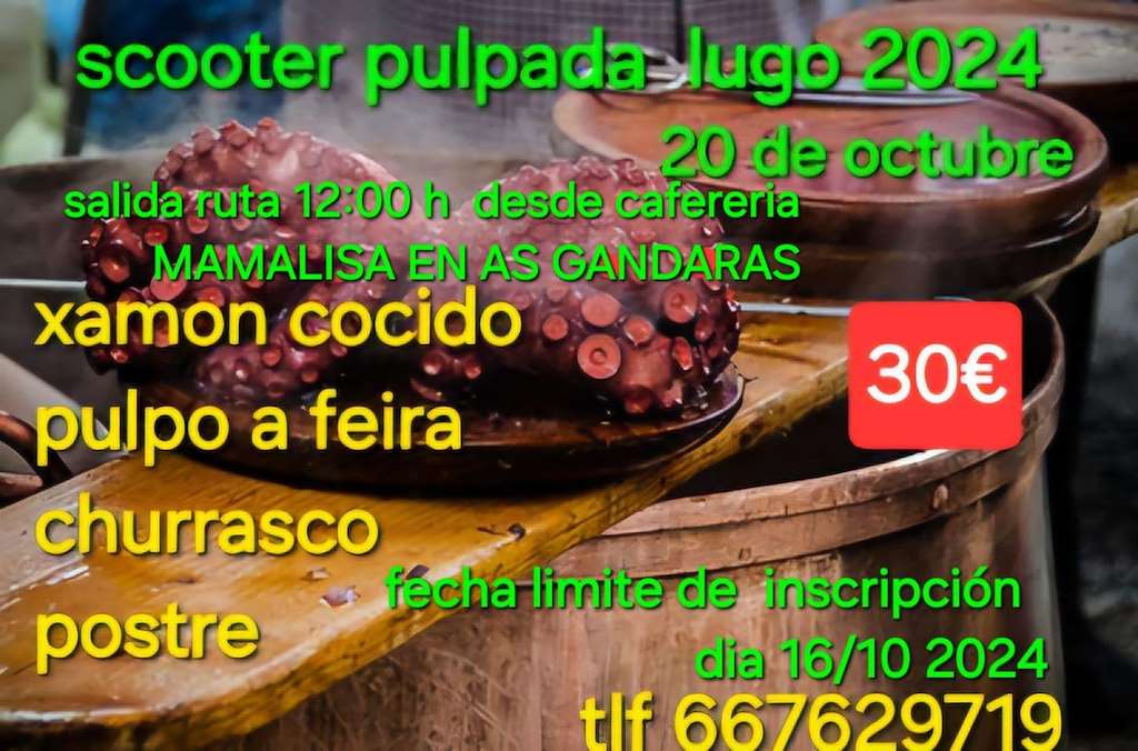 Scooter Pulpada de As Gándaras  en Lugo