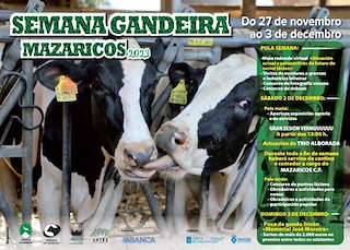 Semana Gandeira en Mazaricos