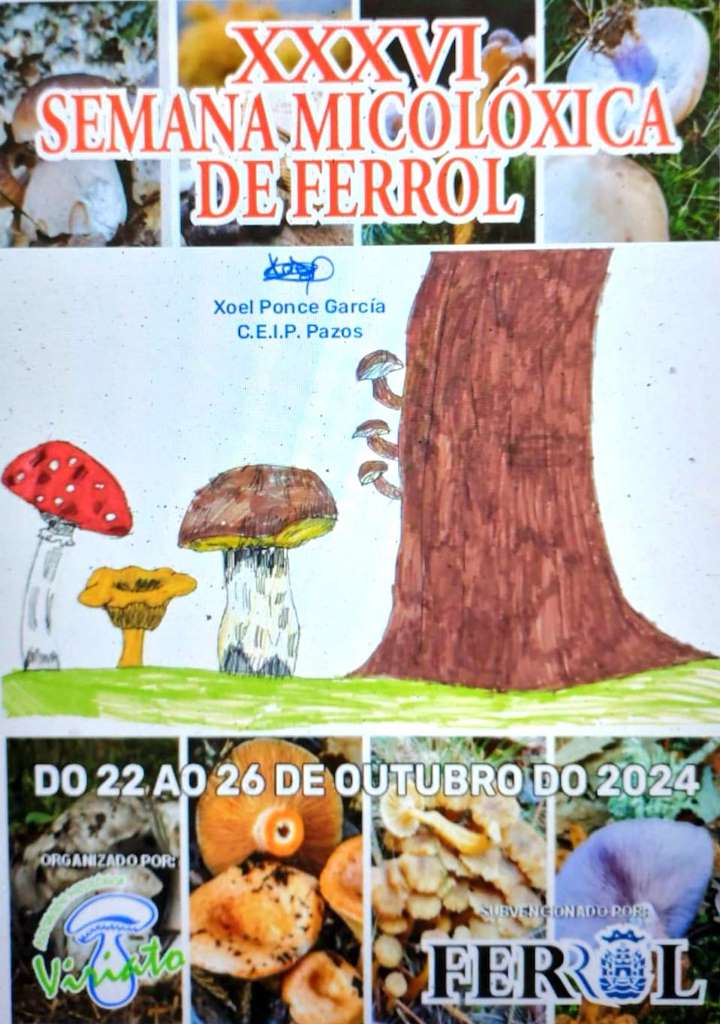 XXVI Semana Micolóxica en Ferrol
