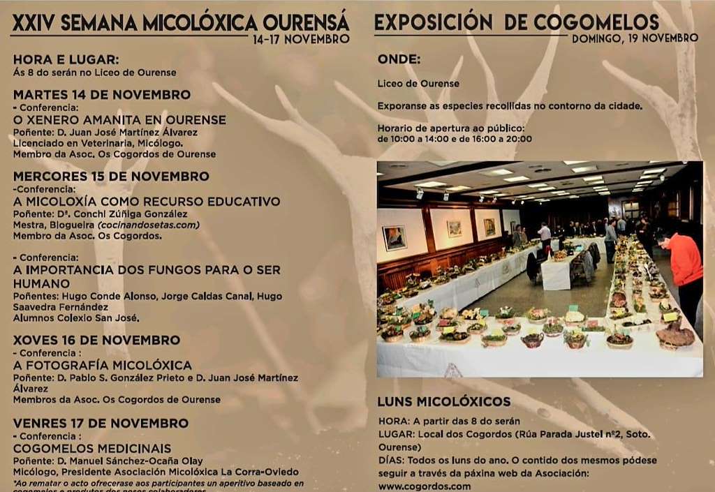 XIV Semana Mixolóxica Ourensá  en Ourense