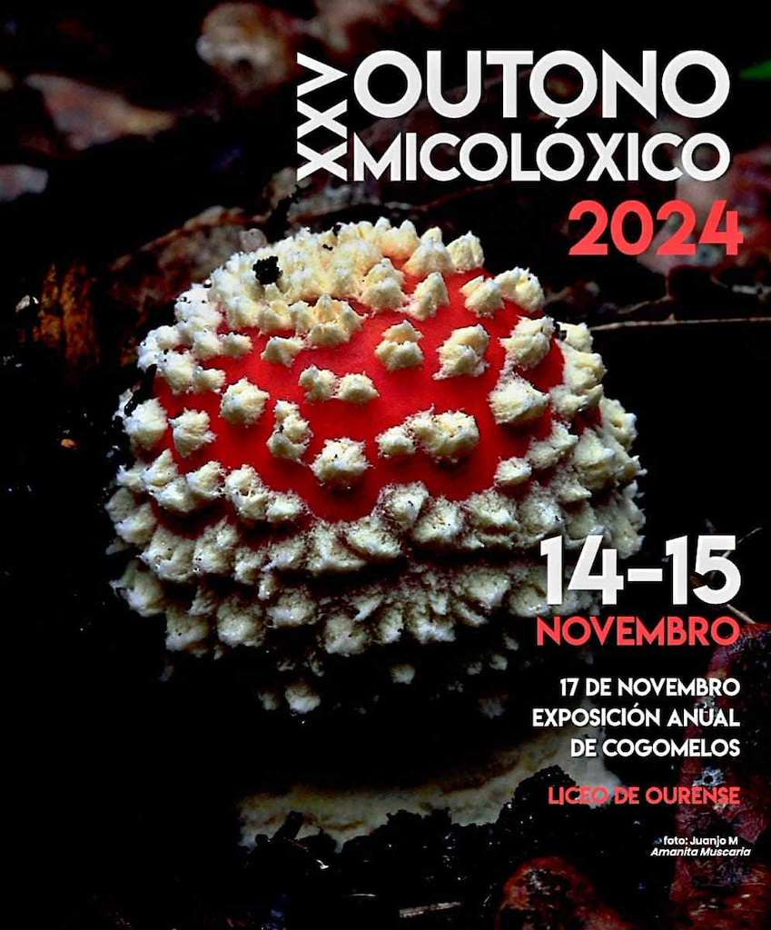 XXV Semana Mixolóxica Ourensá  en Ourense