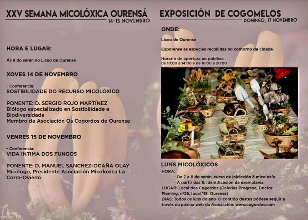 XXV Semana Mixolóxica Ourensá  en Ourense