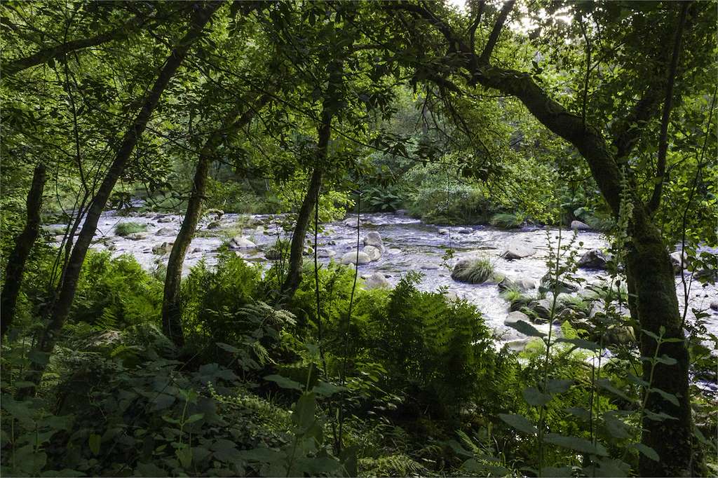 Senda do Río Lérez en Pontevedra