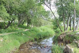 Senda do Río Pexegueiro