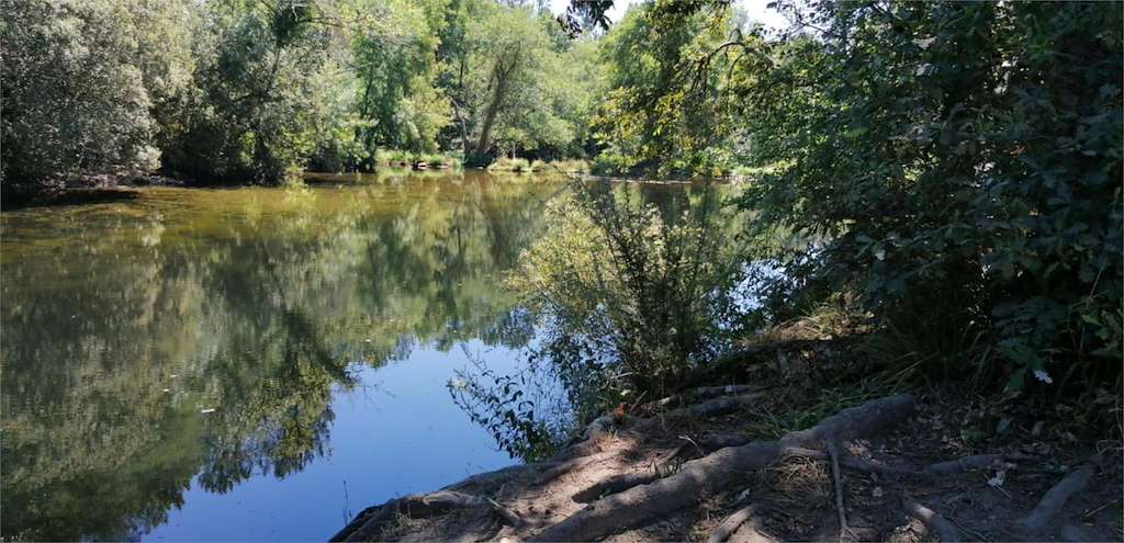 Senda Fluvial de Mondariz Balneario