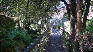 Senda Fluvial del Río Baíña 