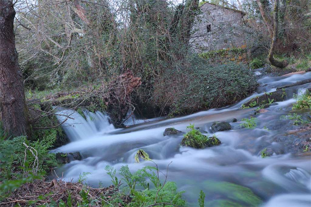 Senda Fluvial do Río Caselas