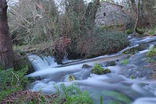 Senda Fluvial do Río Caselas