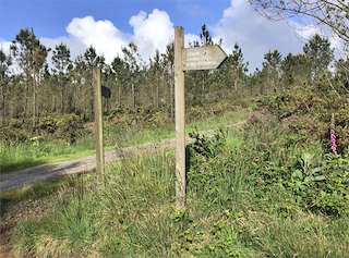 Senda Ornitológica de Mazaricos