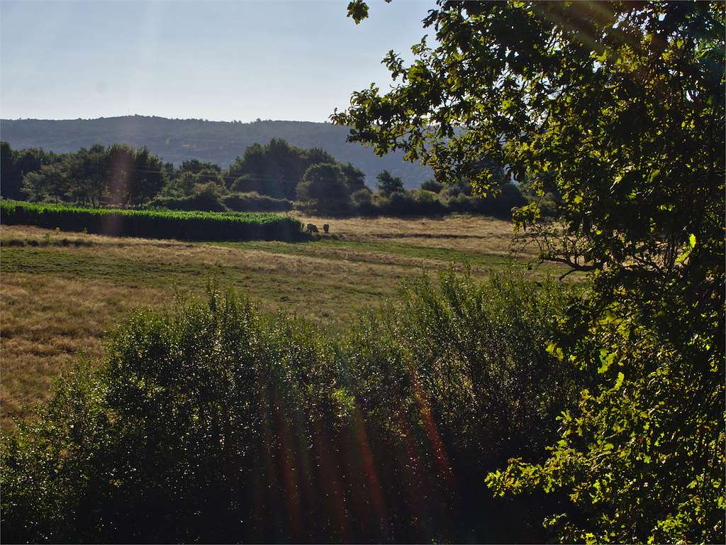 Senda San Xes – San Vicente en Lobeira