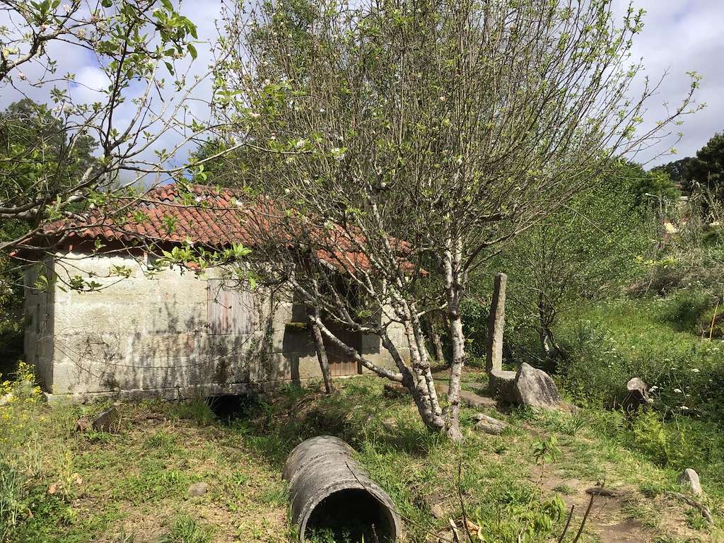 Sendeiro dos Muíños de Ríomaior en Vilaboa