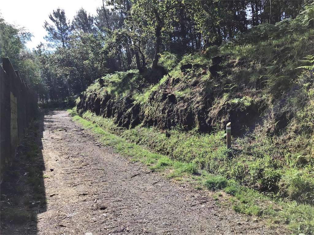 Sendeiro Local de Cabral en Vigo