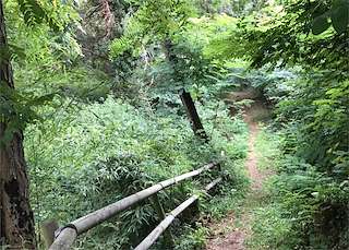 Fechas, información, programa, cartel, imágenes, mapa y ubicación de Sendero de Rialdarca  en  Moaña