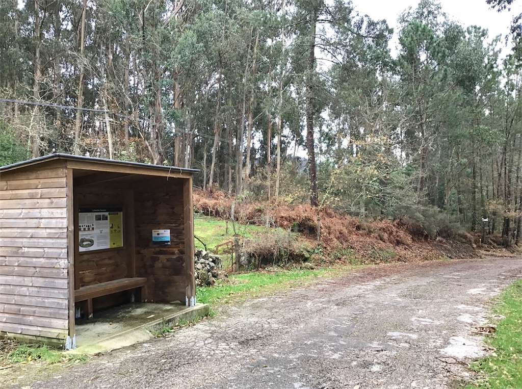 Sendero del Río Ribadil en A Caniza