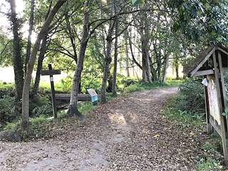 Sendero del Río Tomeza