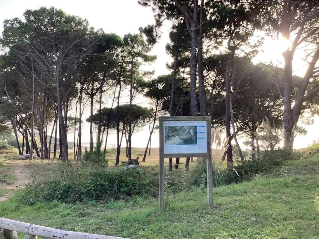 Sendero Paxariñas-Montalvo en Sanxenxo