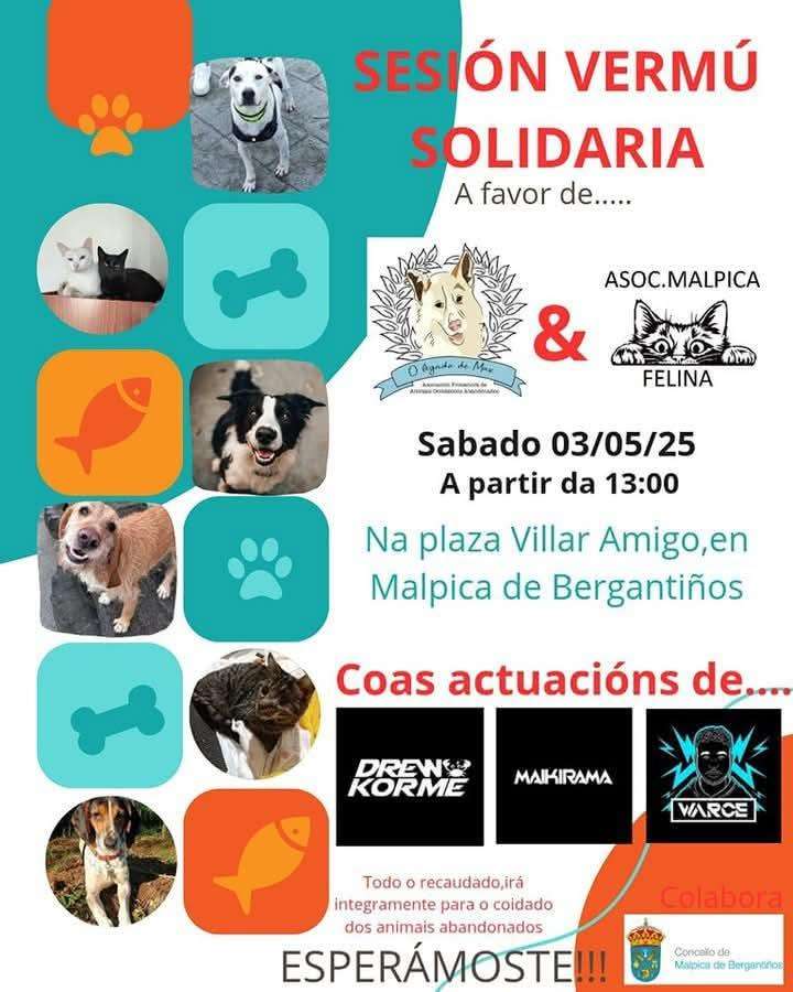 Sesión Vermú Solidaria (2025) en Malpica de Bergantiños