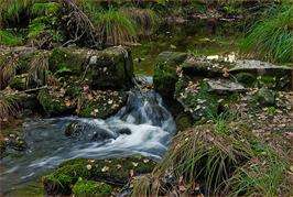 Sete Muiños en Guitiriz