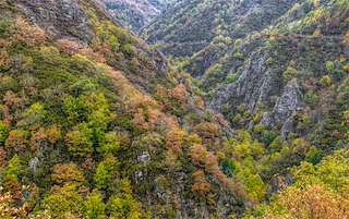Sierra de Os Ancares