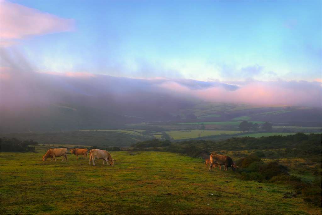 Sierra del Xistral en Muras