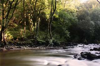 Fechas, información, programa, cartel, imágenes, mapa y ubicación de SM.11 - Ruta de Zarzo a Chelo  en  Coirós